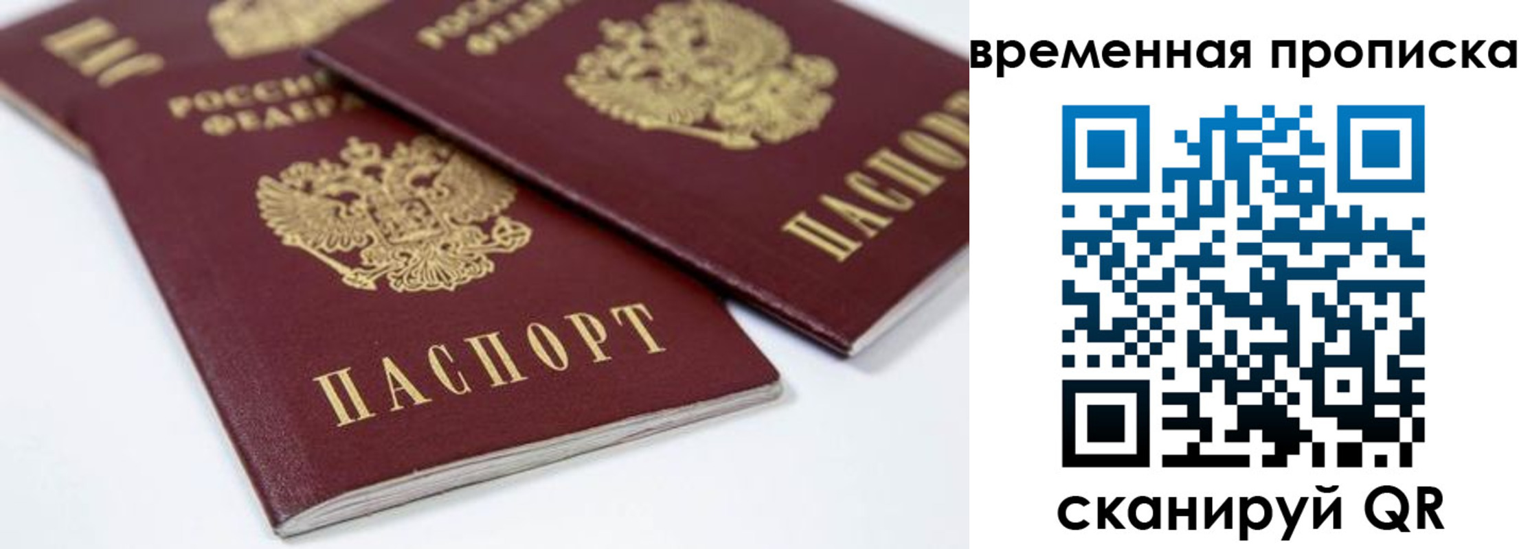 прописка для школы в Могочи